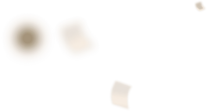 icon chip 4